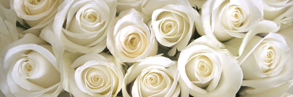 JW Marriott 婚礼酒店和婚礼场所